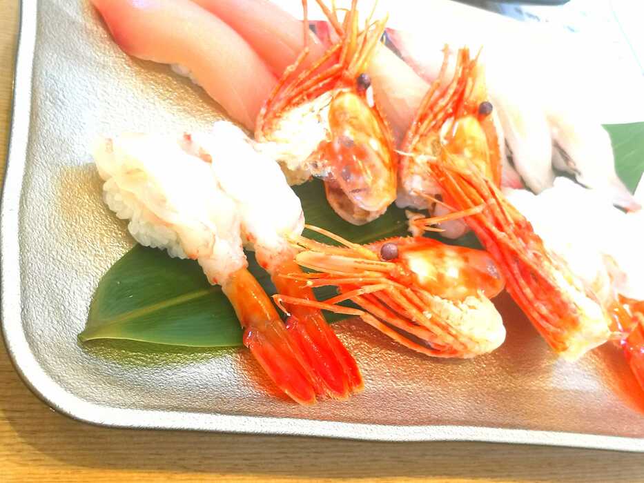 画像408
