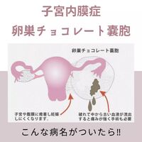 画像507