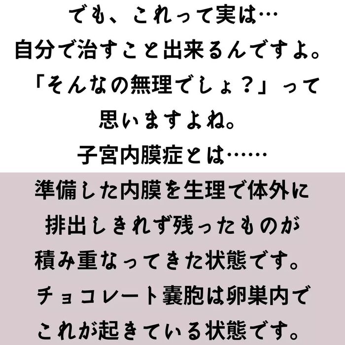 画像511