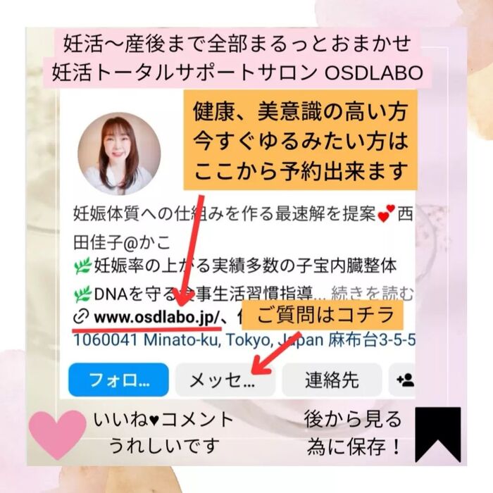 画像529