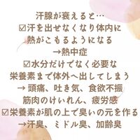 画像538
