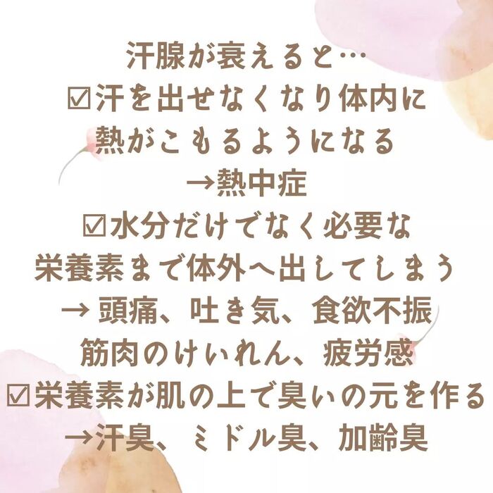 画像538