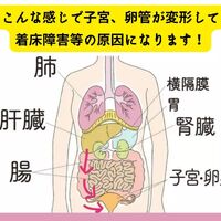 画像549