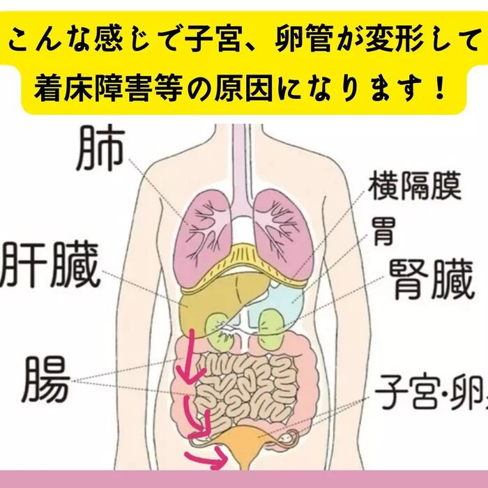 画像549