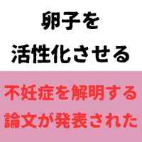 画像591