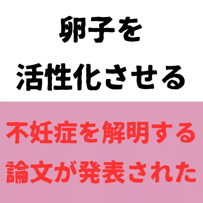 画像591