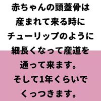 画像685
