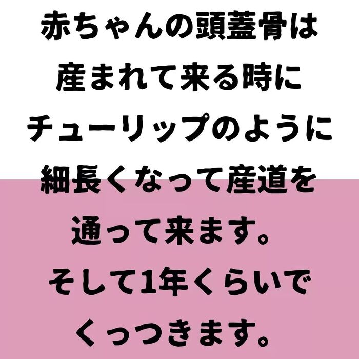 画像685