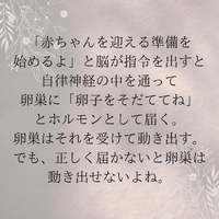 画像737