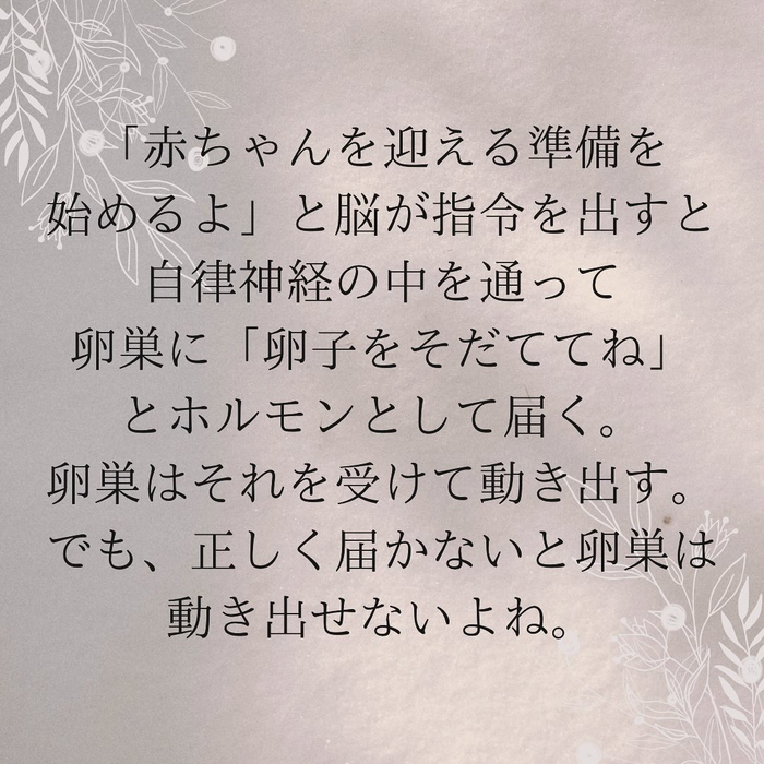 画像737