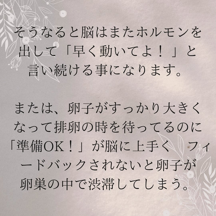 画像738