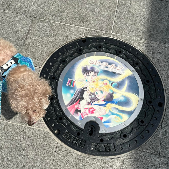 画像766