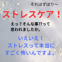 画像771
